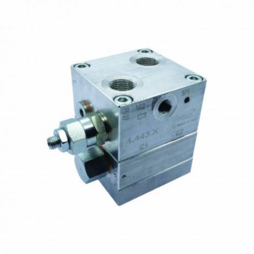 Winman Wb-M-De-Vff-12-14 Serisi Motor Tipi Karşı Denge(Yük Tutma) Valfleri